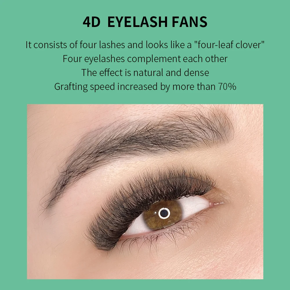 GLAMLASH 4D W Shape Eyelash Ex - Eyelash Extension For Asian Eyes review and price